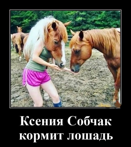 Ксюша
