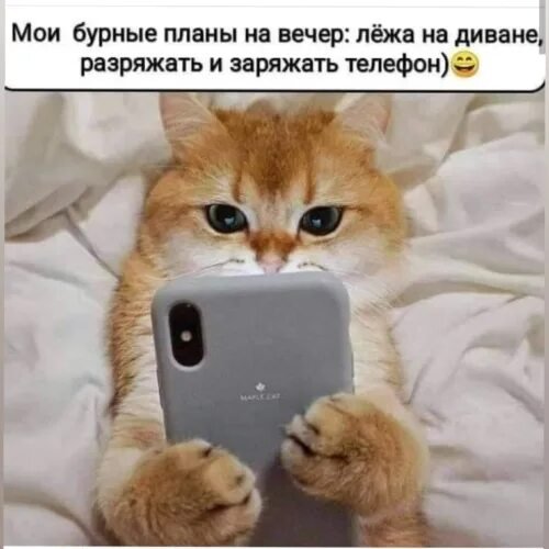 Планы на вечер