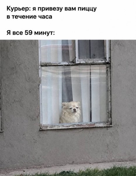 IMG 20260827 102859 988