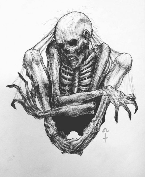 Skeleton