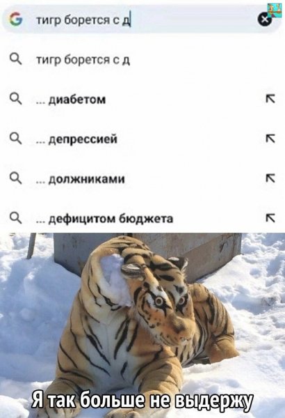 8pxbQuQOwl8