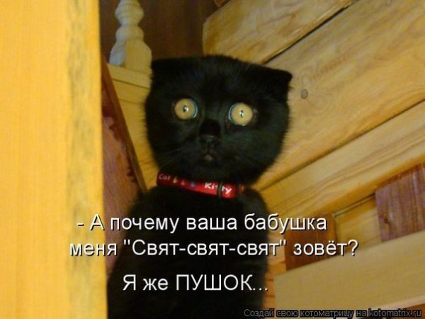 пушок