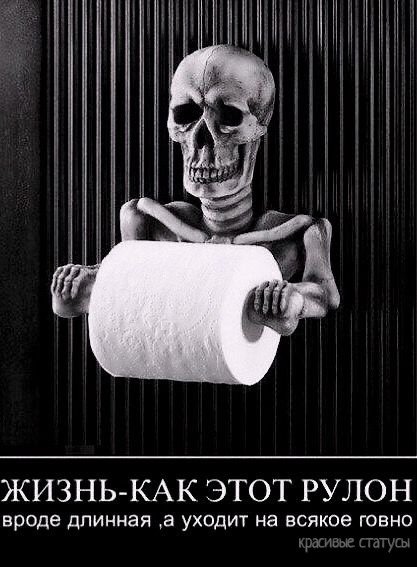 D LPnbXmZVY