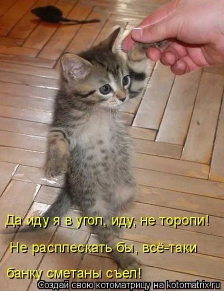 Обана!!!