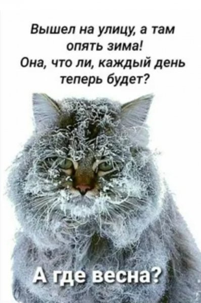 А???