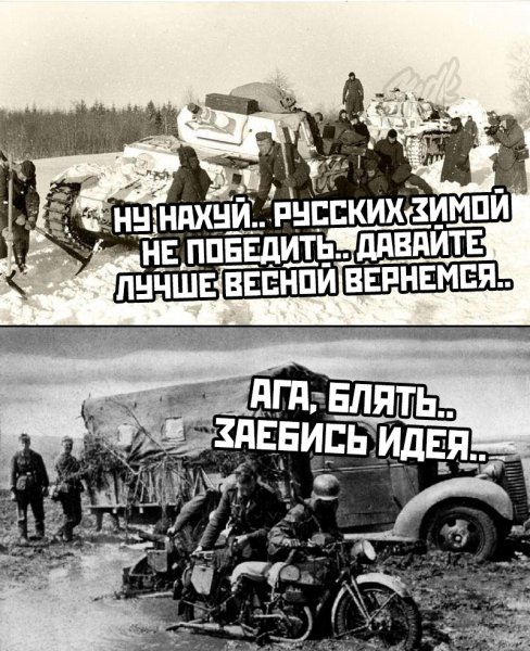 bAN0tPRf8q4