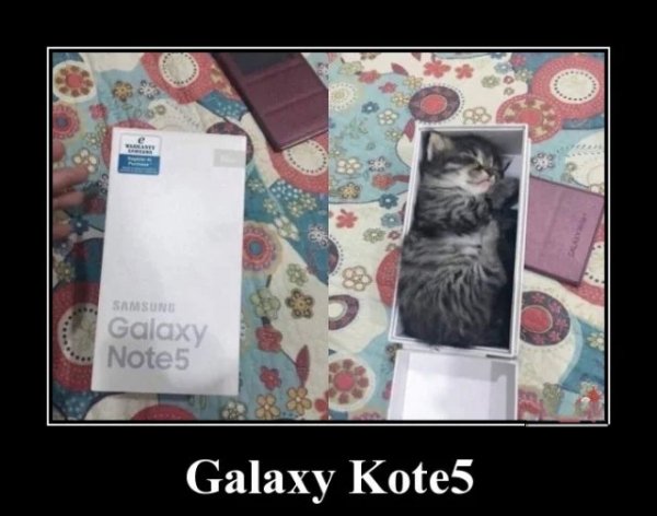 Galaxy