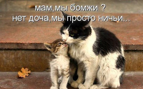 IMG 20150612 175057 43