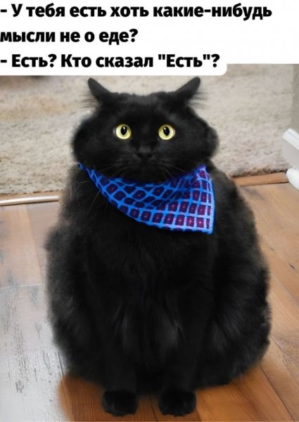 КотЭ)