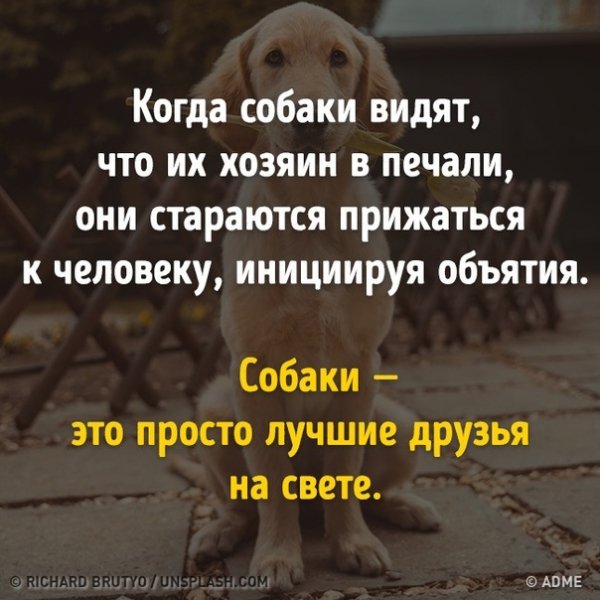 Так!