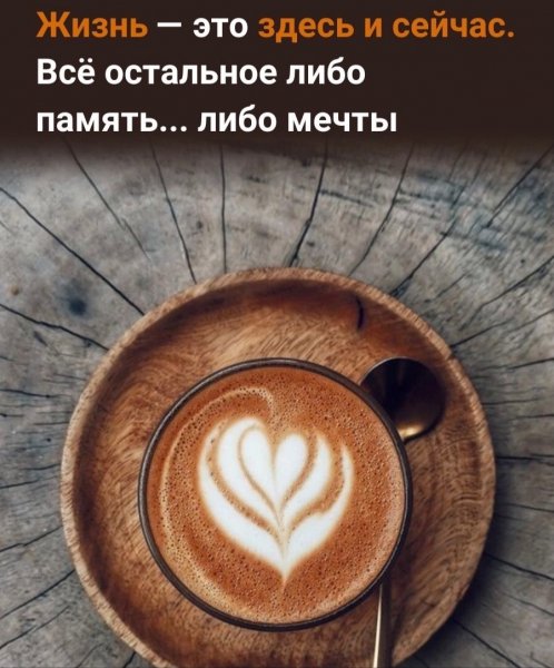 Жизнь