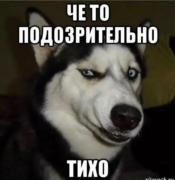 Что то пошло не так