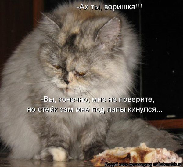 Лапы кинулись...