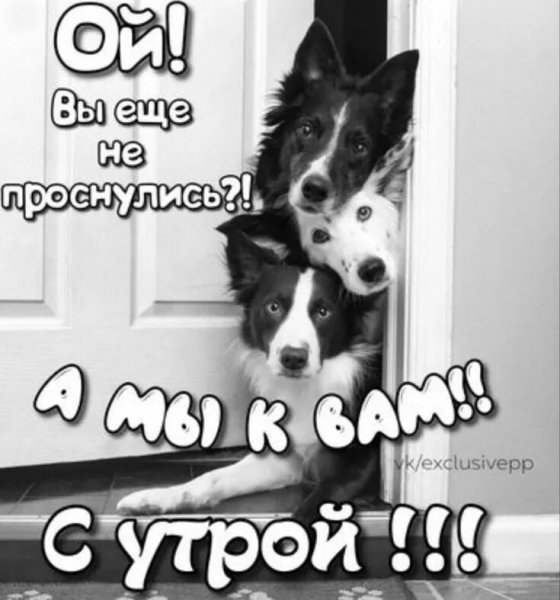 Да!!!