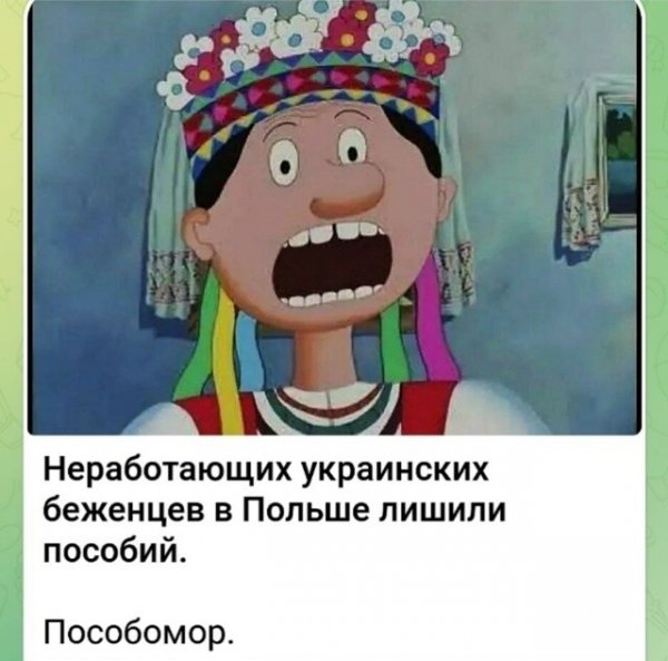 IMG 20260211 094416