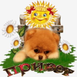 getImage(163)