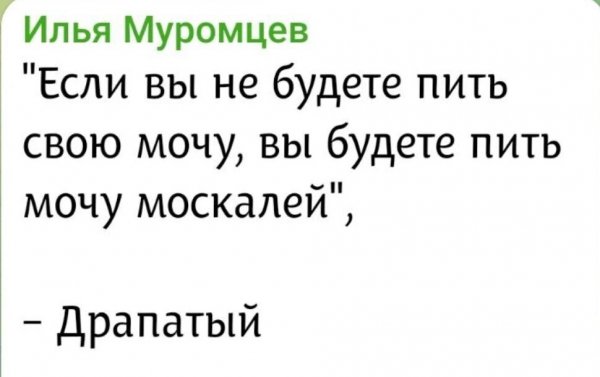 IMG 20260815 201250