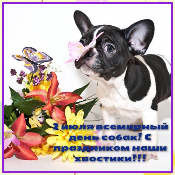 IMG-20250702-WA0018