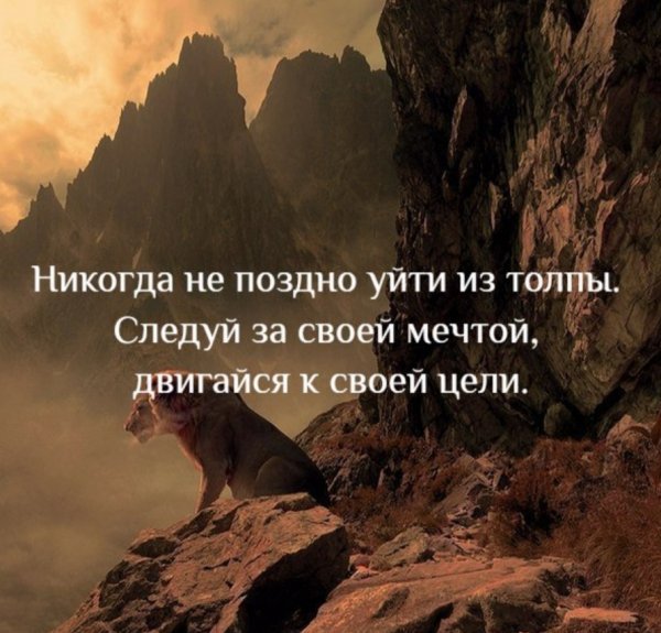 Верные слова!