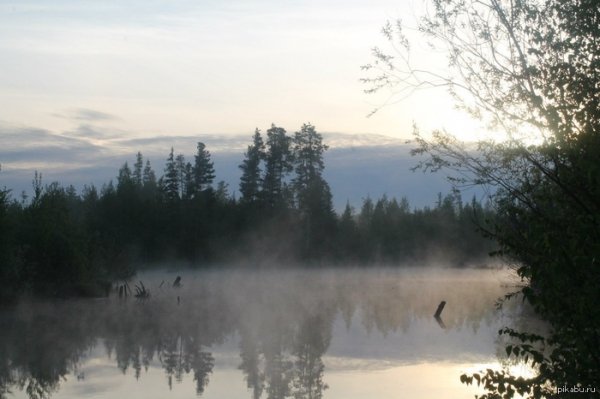 picture_79823275