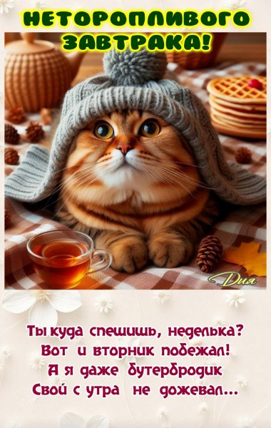 Опаньки!