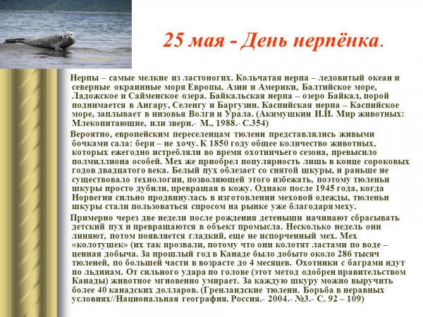 День нерпёнка