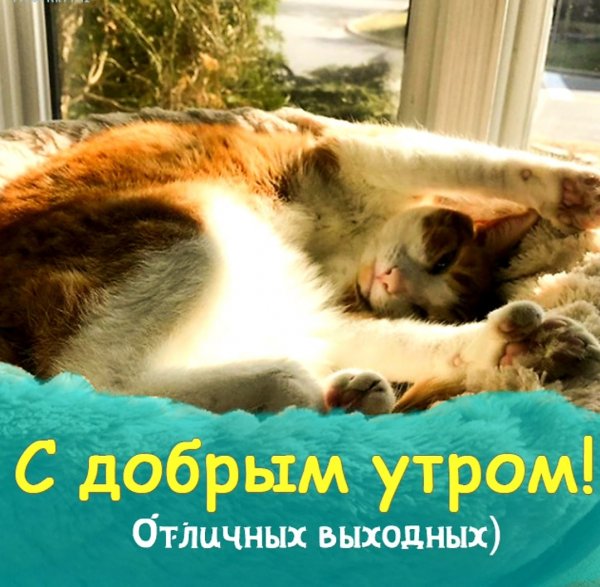 Отличных выходных