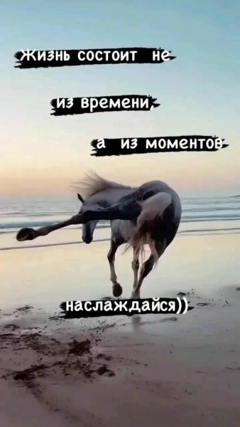 Так и есть!