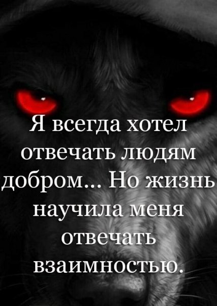 image (3) (21)