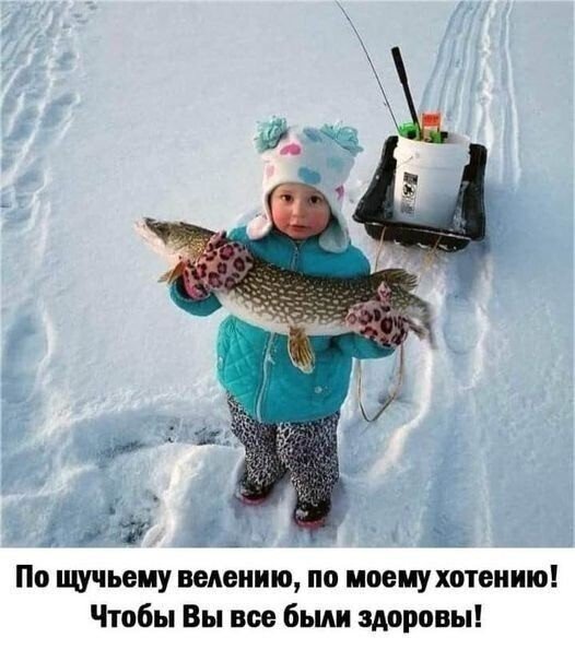 picture_404825343