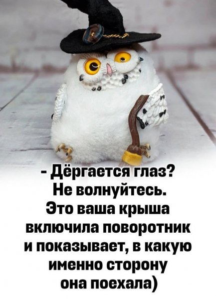 picture_413538441