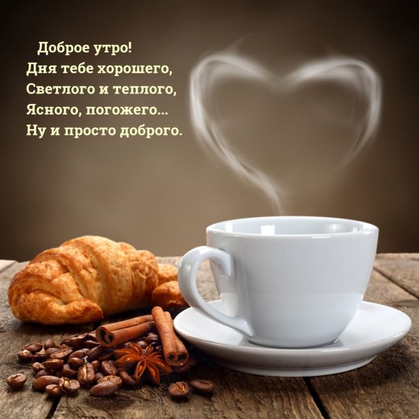 IMG-20220201-WA0004