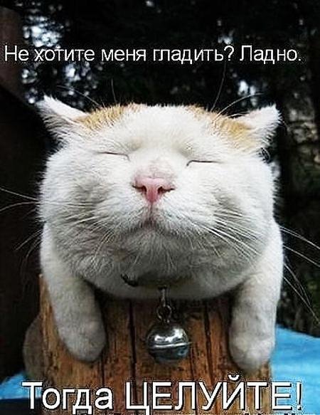x 7ef3c333
