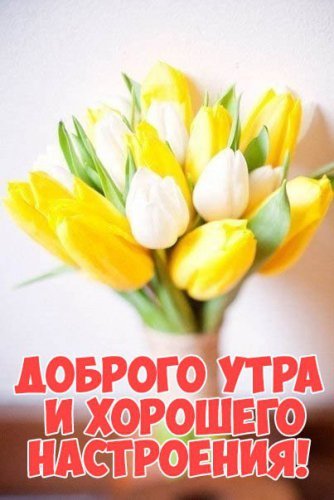 доброе утро
