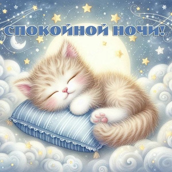 IMG 20260728 235000 346