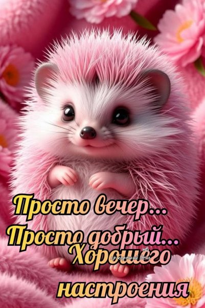 3a8b54d97485c1b5c5fd77ccd1d55e77