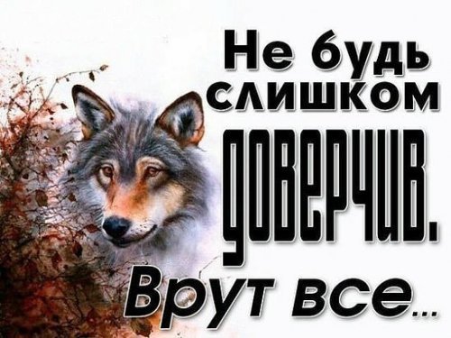 picture_213839713