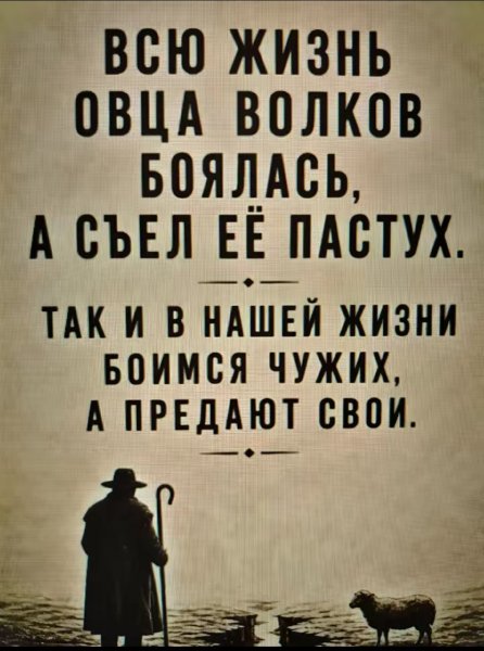picture_413749558