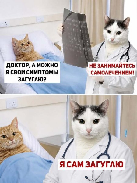 Jjyxuxkb