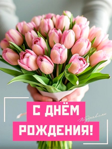 picture_382733739