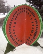 AРБУЗ зимой