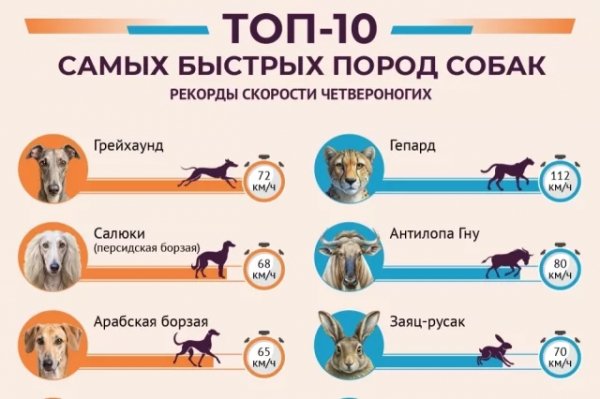 Это интересно