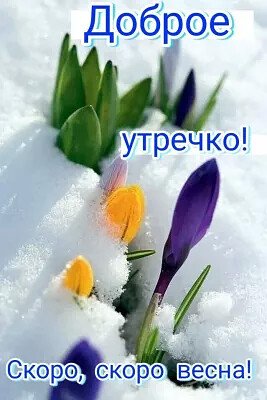 IMG-20210223-WA0006