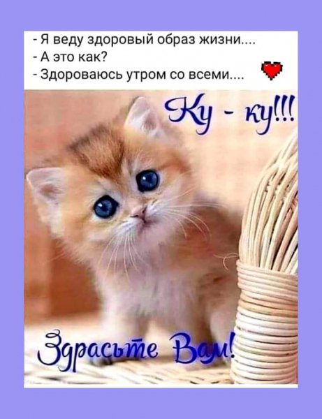 FB IMG 1623877221308