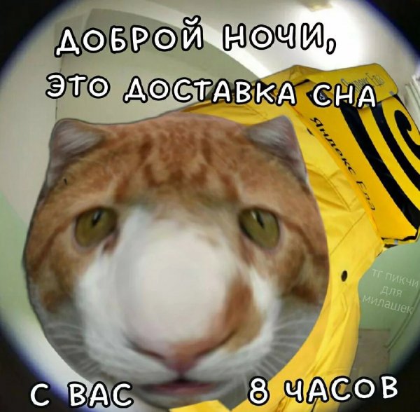 p.1200.1200.0