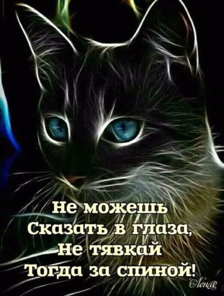 FB IMG 15455565189096565