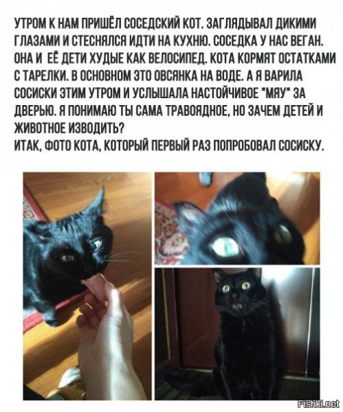 ))