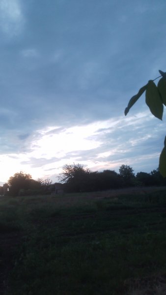 picture_413975798