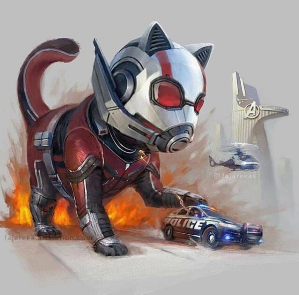 VktGqSvya8Q