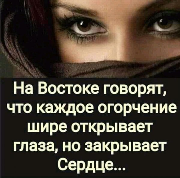 FB IMG 16120476614858384